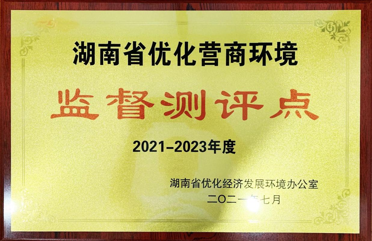 中市集团受聘为湖南省优化营商环境监督测评点